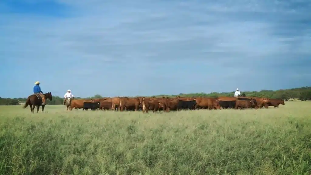 Animal Rights vs Farmers Sonoma County Ban