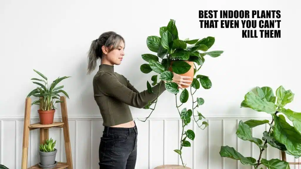 Best Indoor Plants