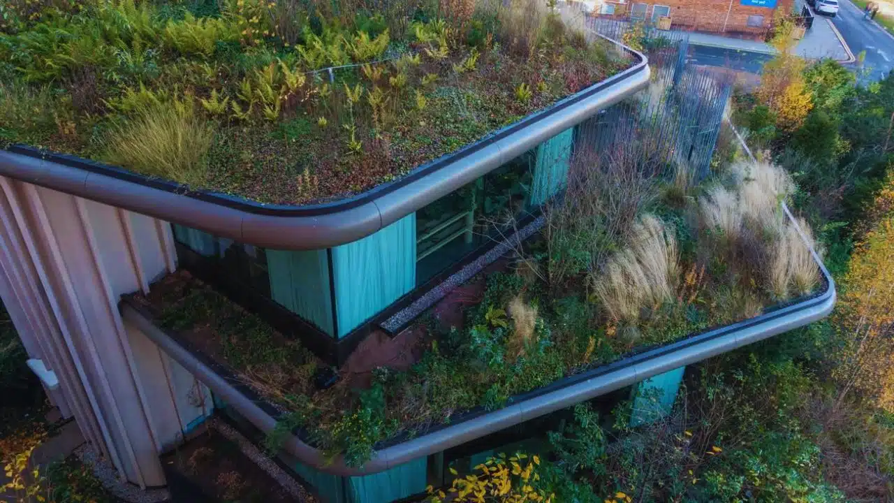 Easy Ways to Go Green