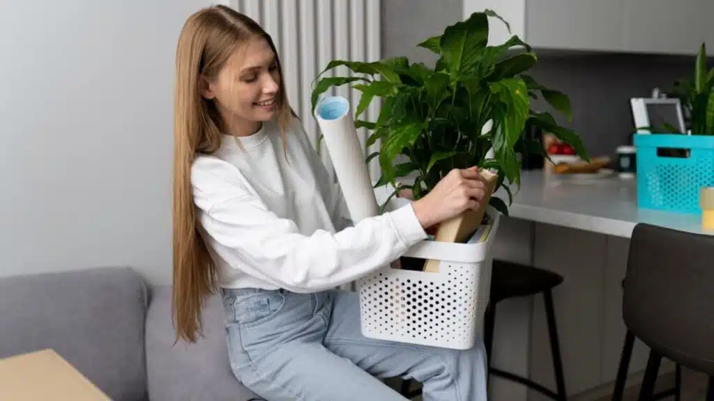 Indestructible Indoor Plants