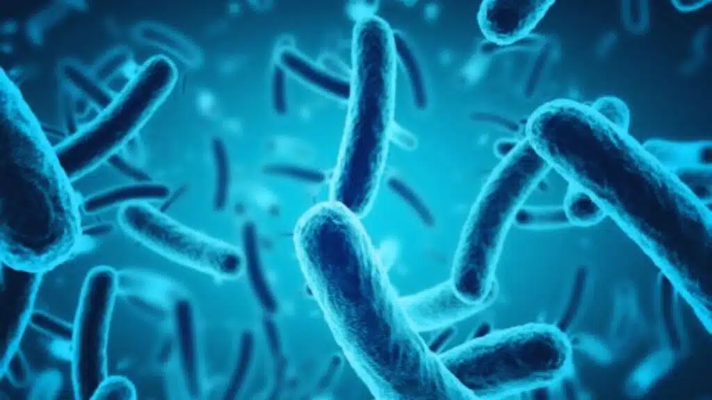 Japan Record Increase in STSS Cases