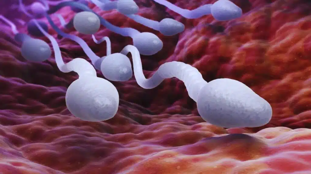 Male Birth Control Gel Safe Effective