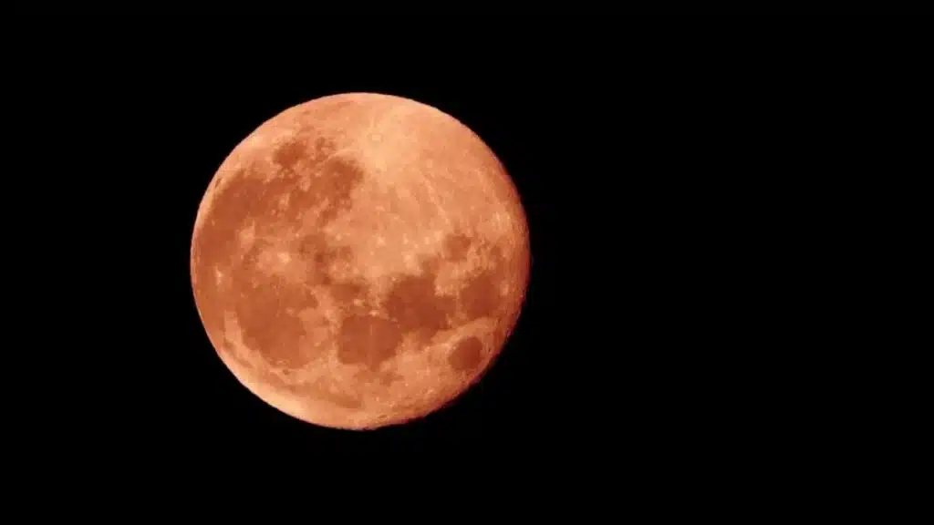 Strawberry Moon 2024 June Full Moon