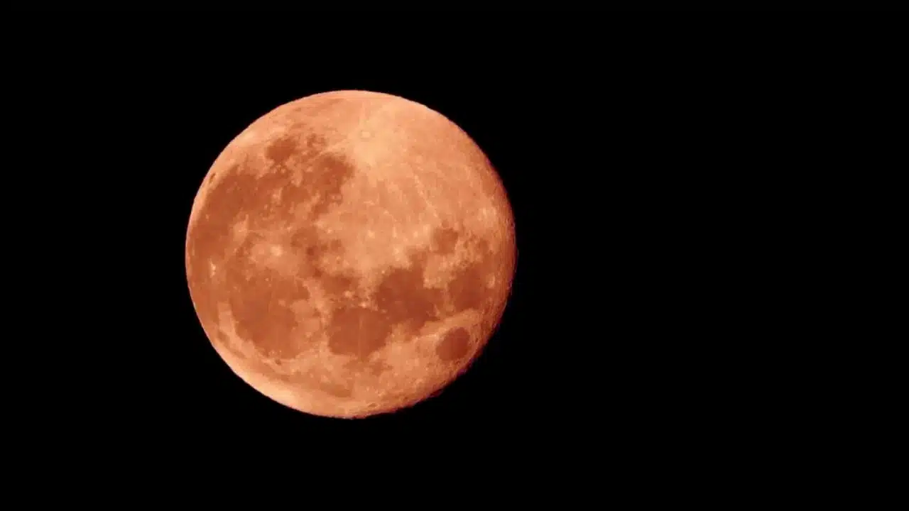 Strawberry Moon 2024 June Full Moon