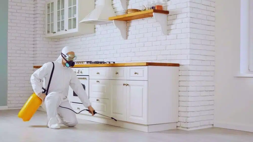 Summer Pest Control Expert Tips