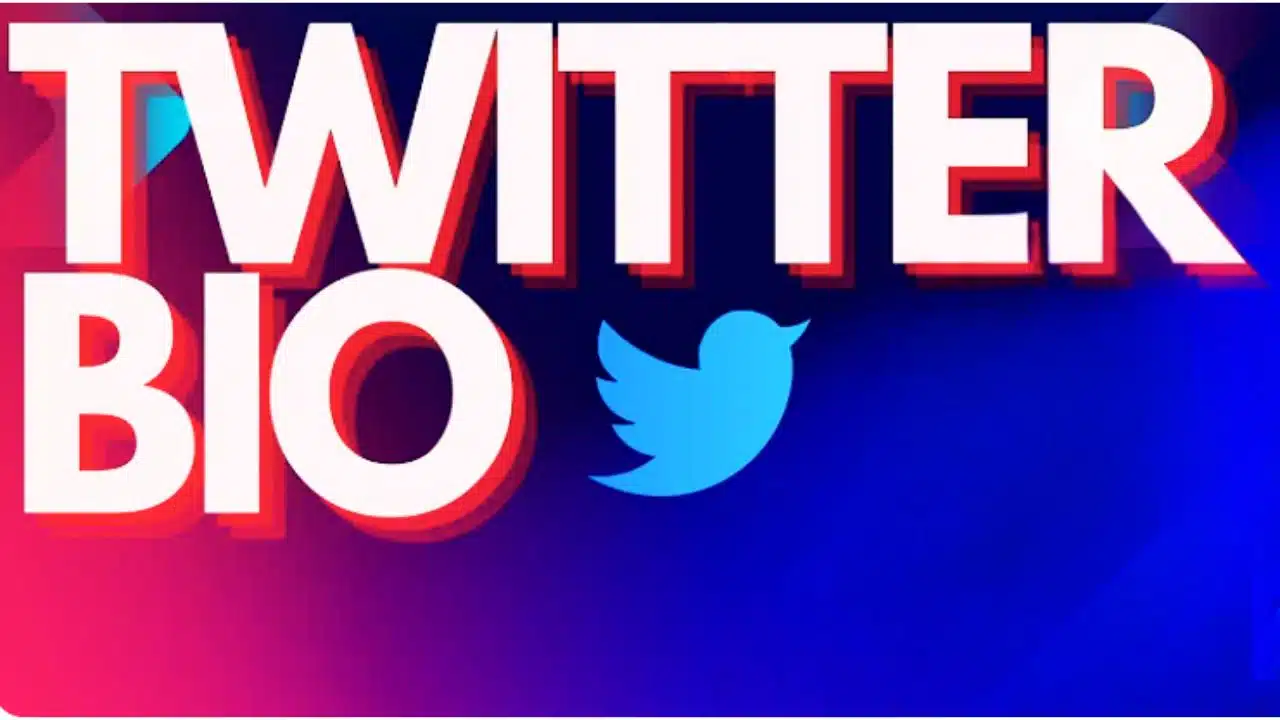 Twitter Bio Writing Tips