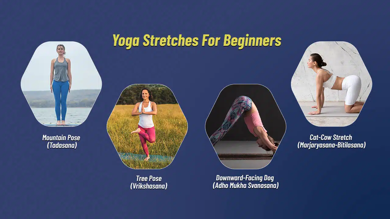 Yoga stretches for beginners