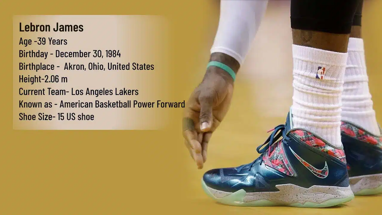 lebron james bio