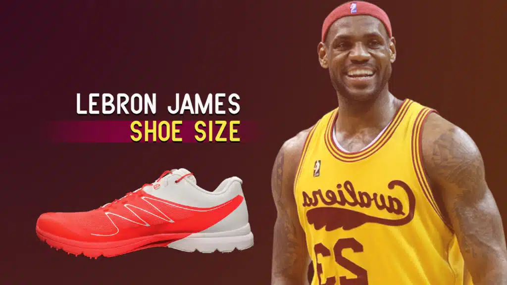 lebron james shoe size