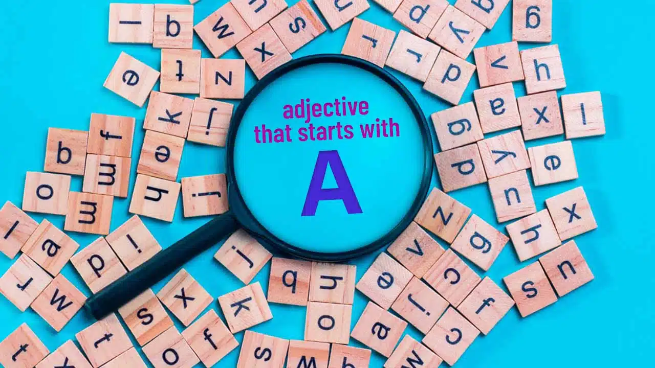 list of all educational adjective that starts with a