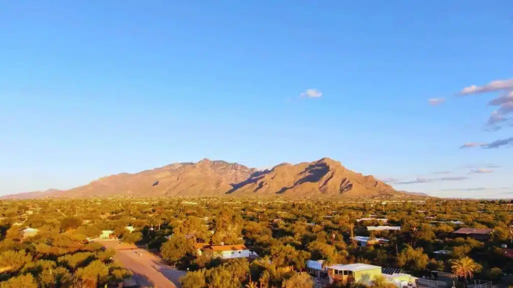 Arizona Neighborhoods for Young Professionals