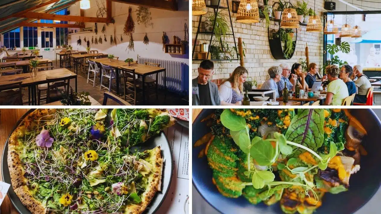 Best Vegan Restaurants in Melbourne