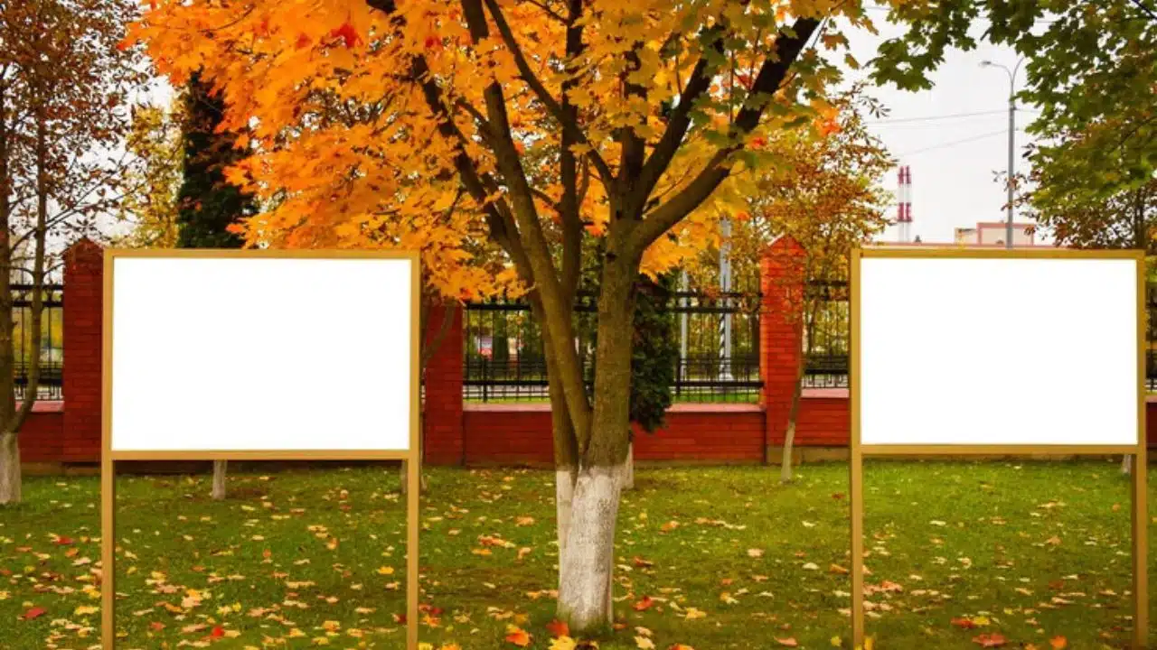 Comparing Outdoor and Indoor Banners Which Suits Your Needs