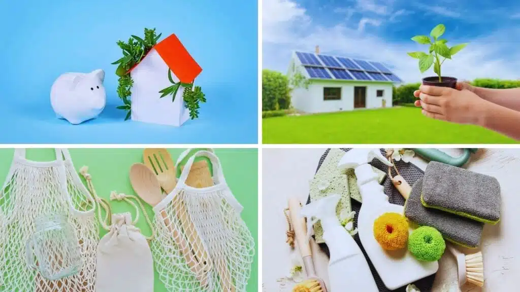 Eco-Friendly Living Steps