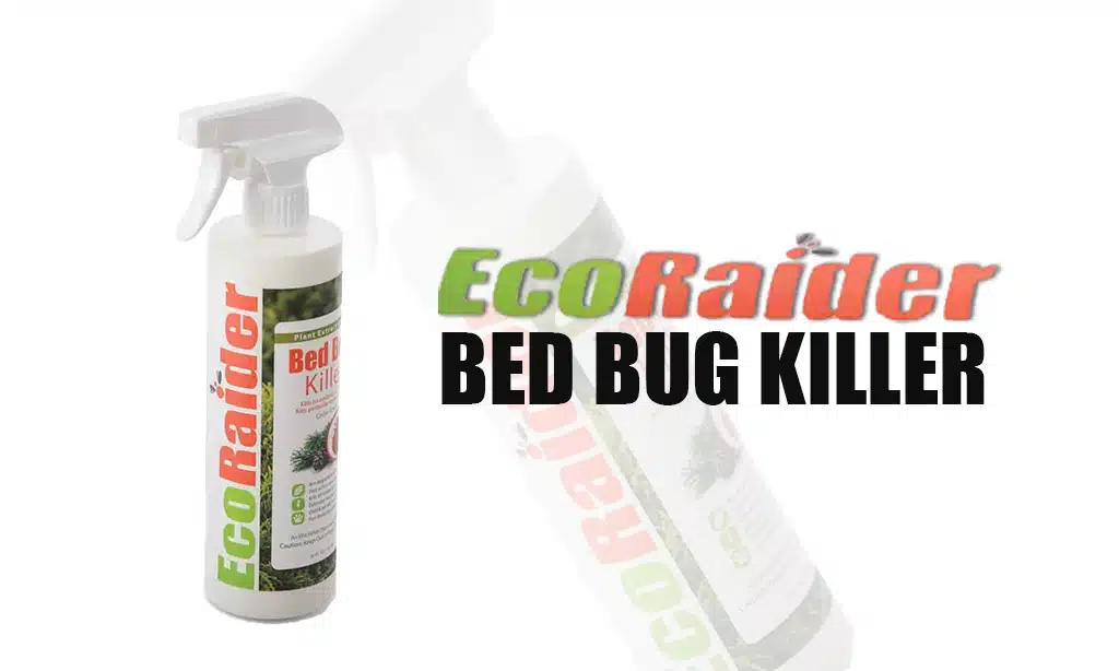 EcoRaider Bed Bug Killer
