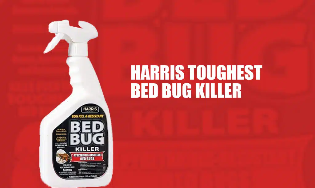 Harris Toughest Bed Bug Killer