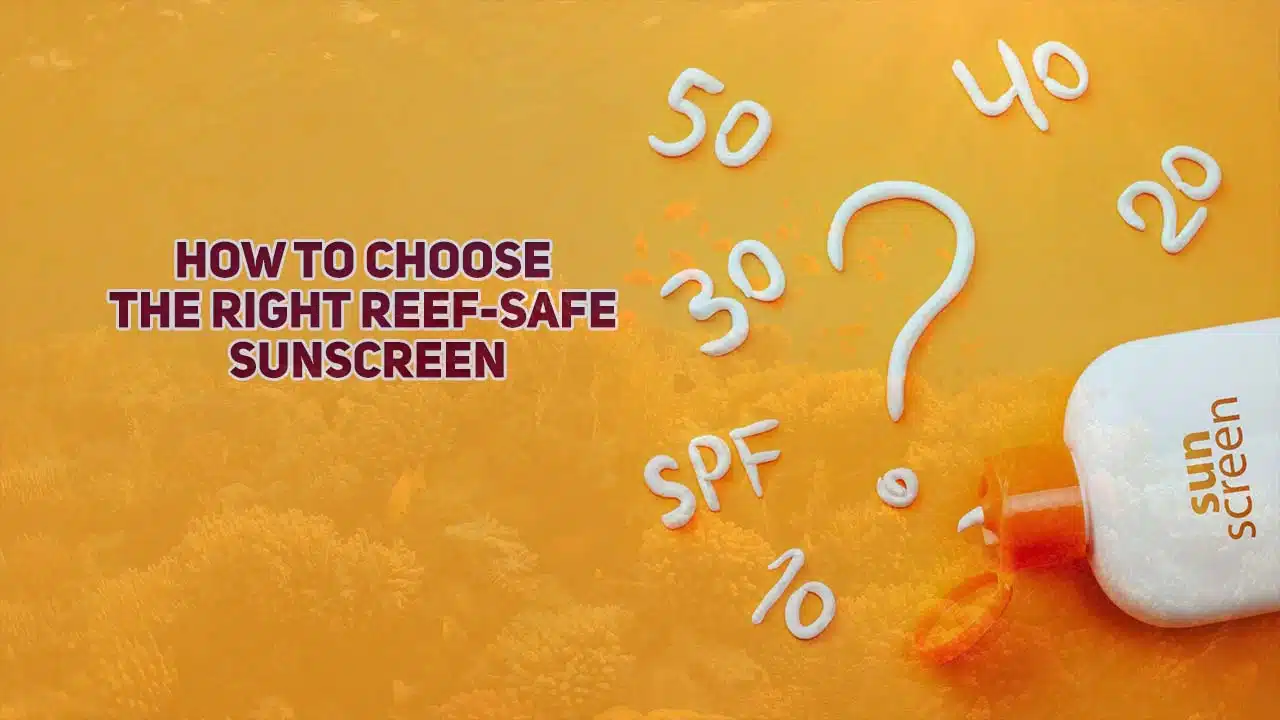 How to Choose the Right Reef-Safe Sunscreen