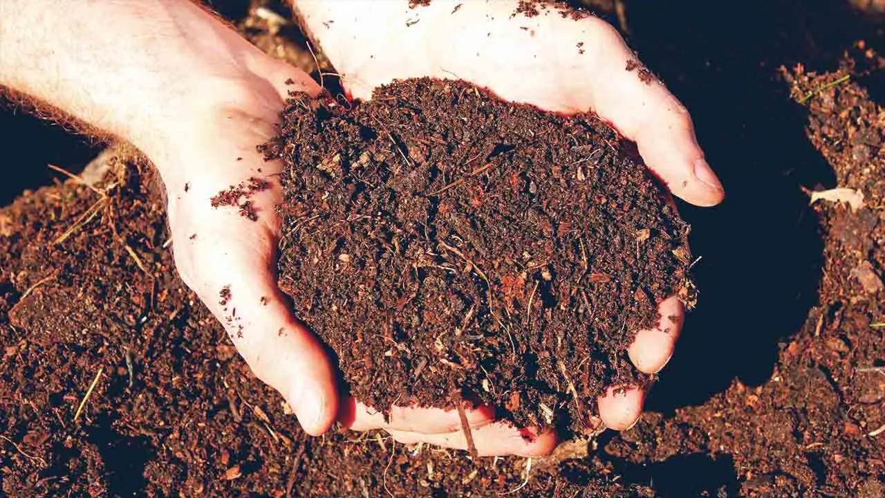 How to Maintain Your Compost