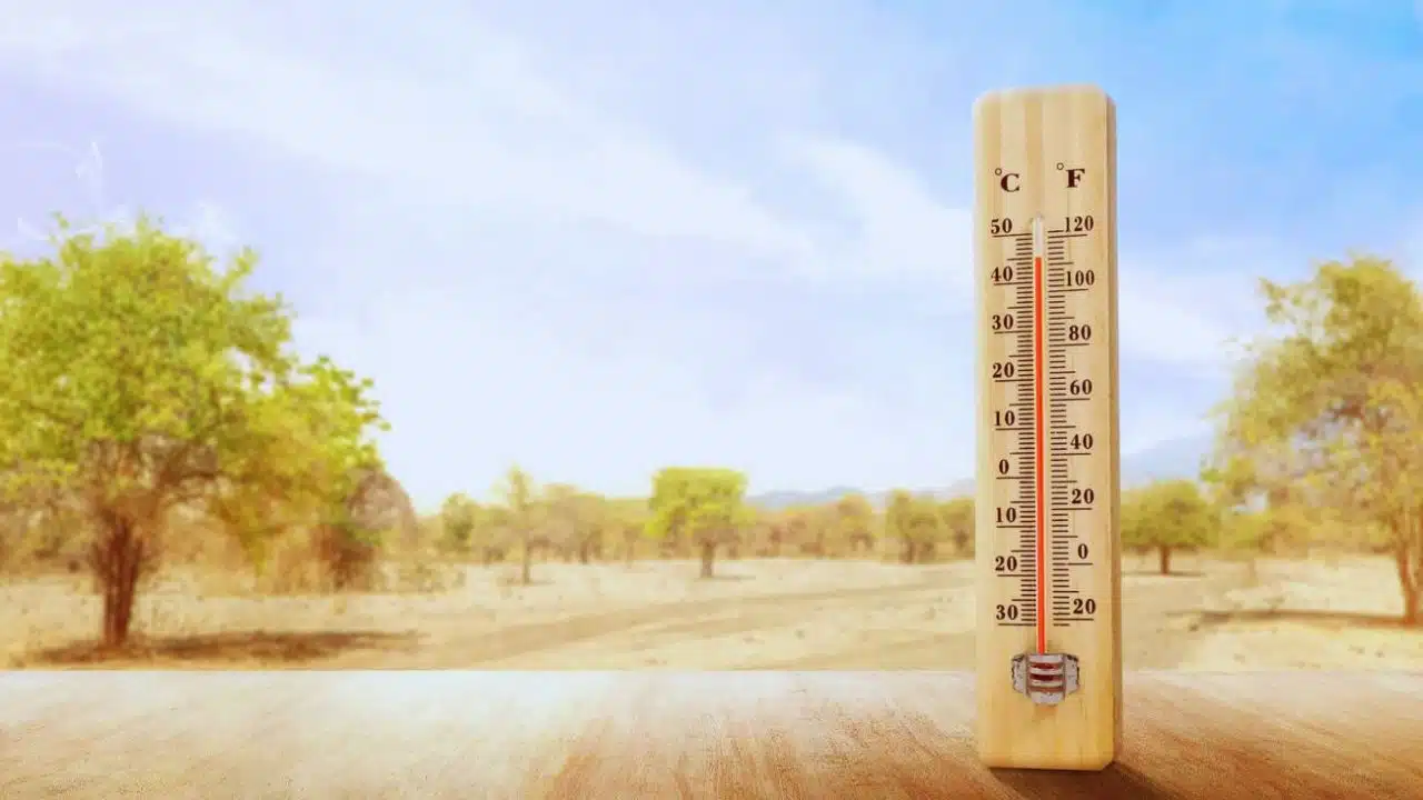How to Measure Outdoor Temperature