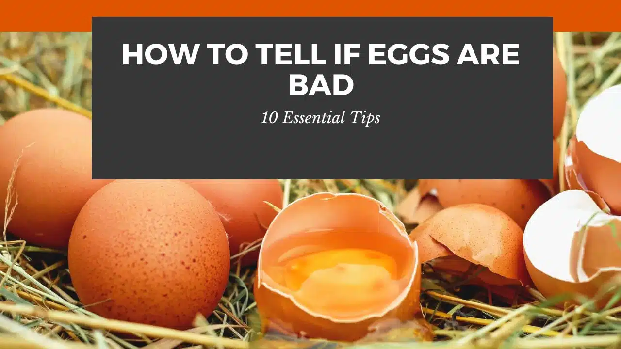 How to Tell If Eggs Are Bad