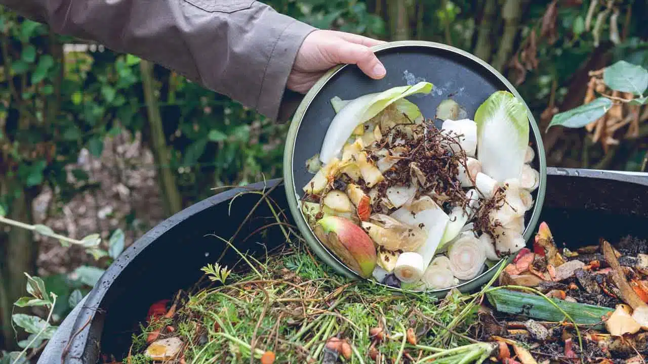 How to fill the compost bin