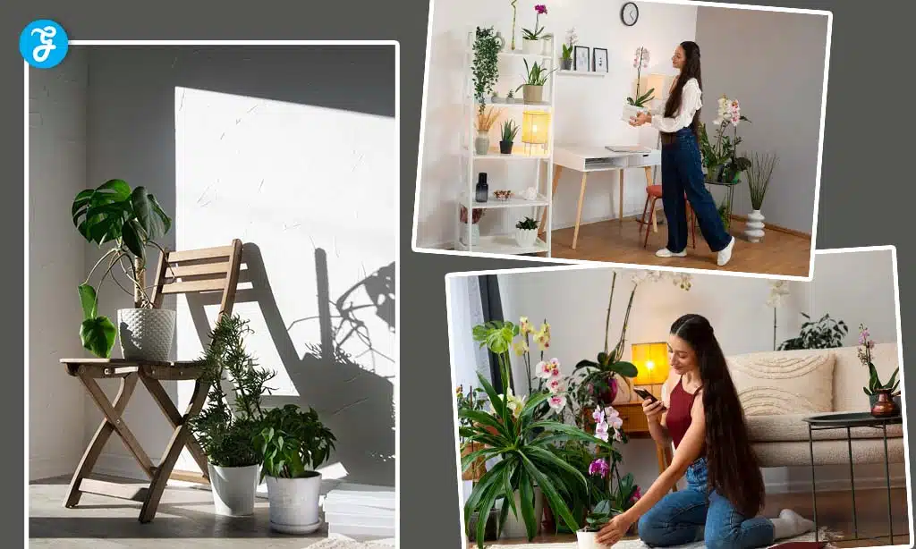 Incorporating Plants in Your Design