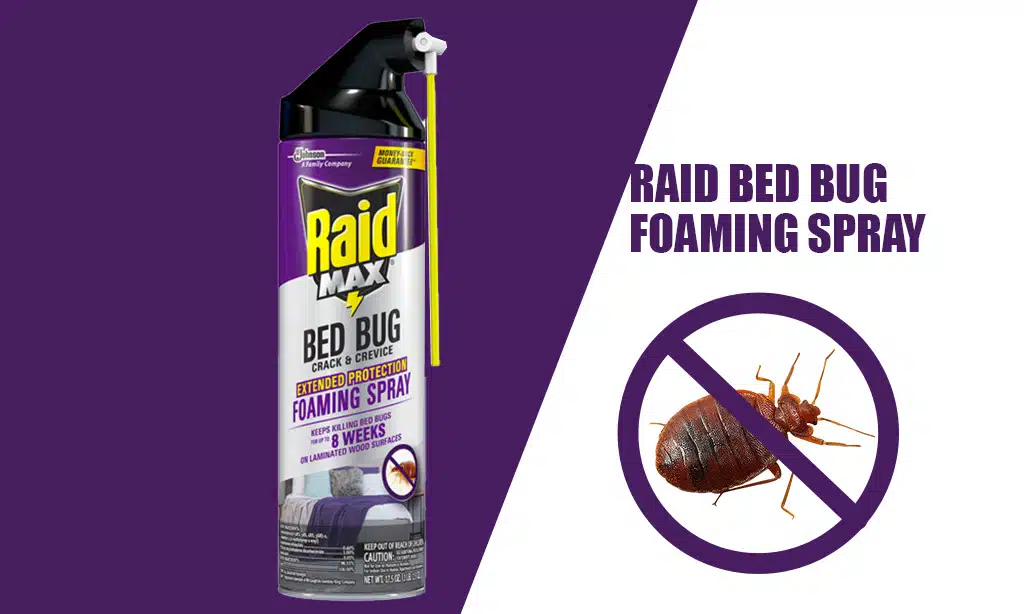 Raid Bed Bug Foaming Spray