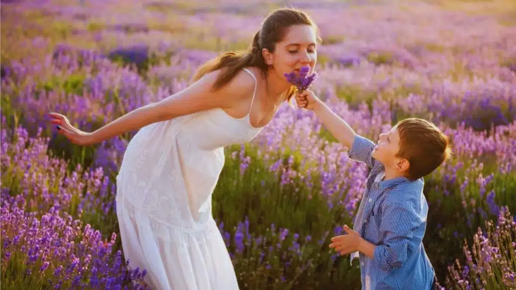 funny little boy allows to smell lavender bouquet to his young happy mother on summer blooming field