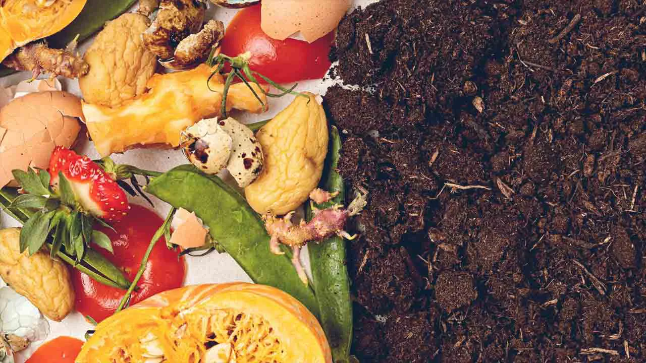Stages of Composting
