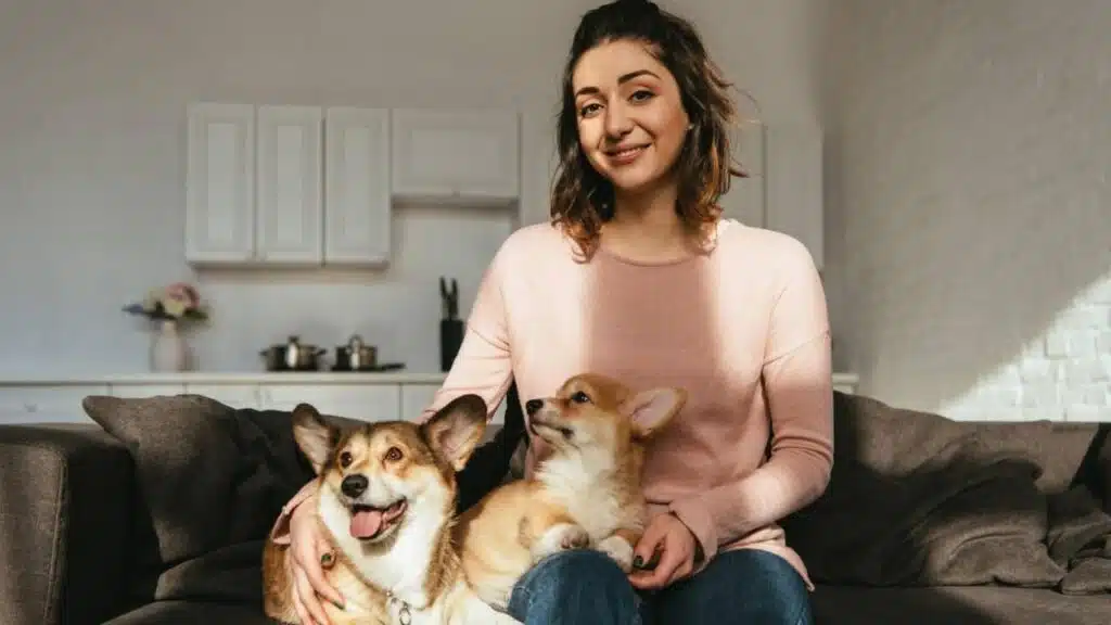 Stress-Free Move for Pets Welcoming New Environment