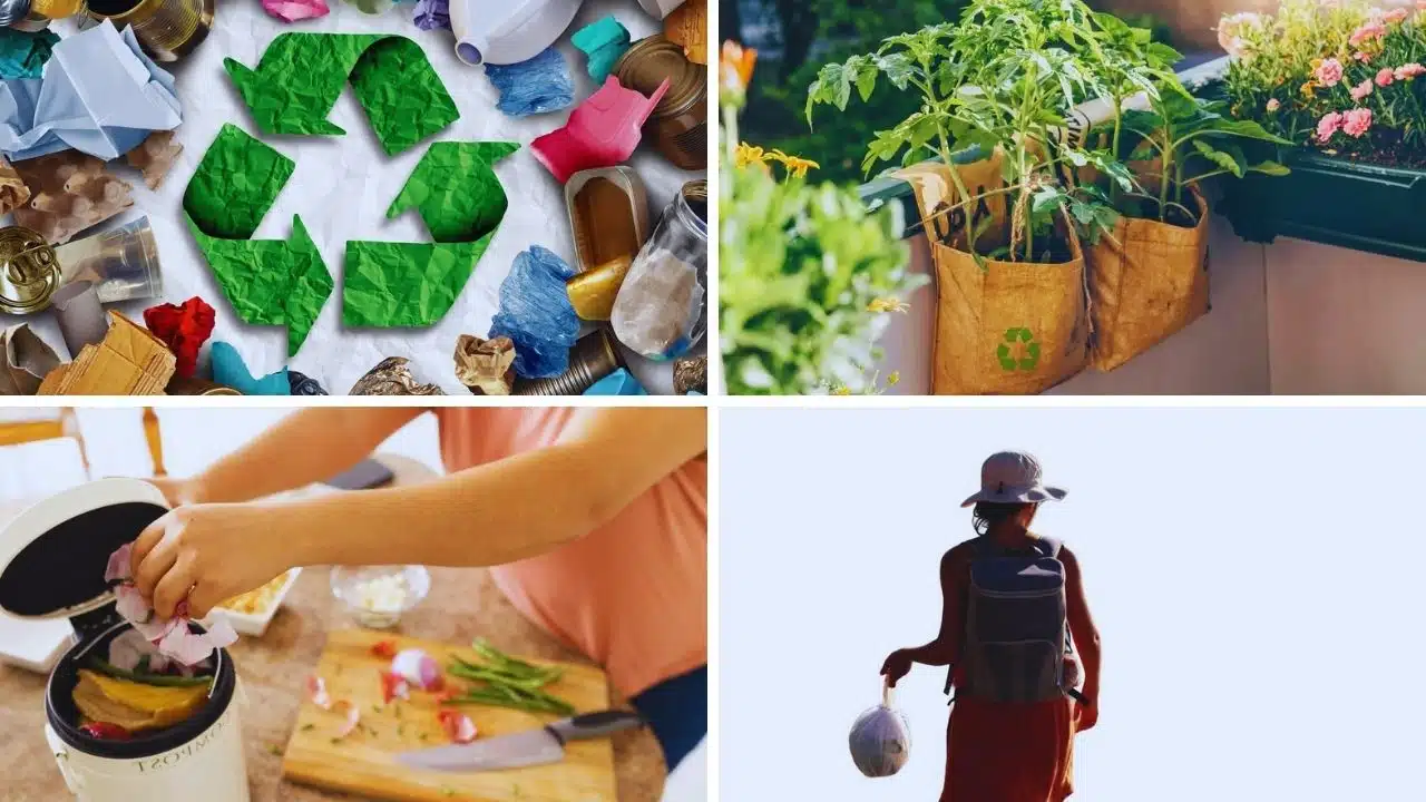 Sustainable practices reduce environmental impacts