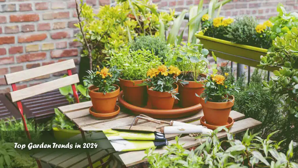 Vegetable Gardening Tips for Beginners