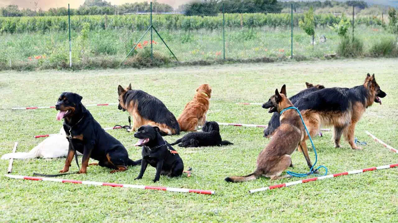 Avoid Negative Punishment