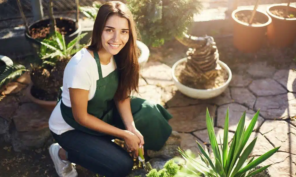 Backyard Pest Control Guide