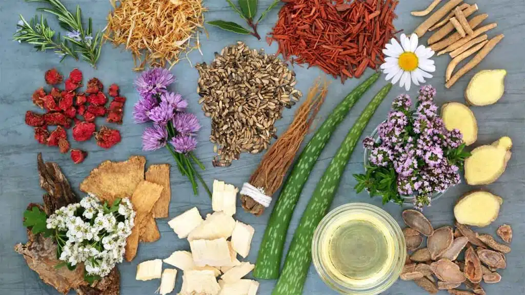 Assorted herbal ingredients laid out on a table.