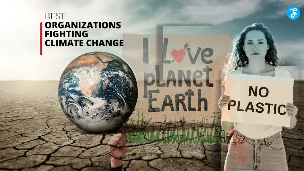 Best Organizations Fighting Climate Change
