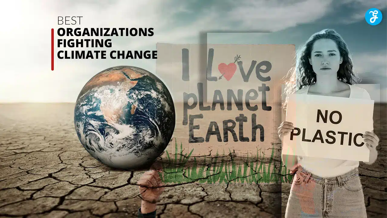 Best Organizations Fighting Climate Change