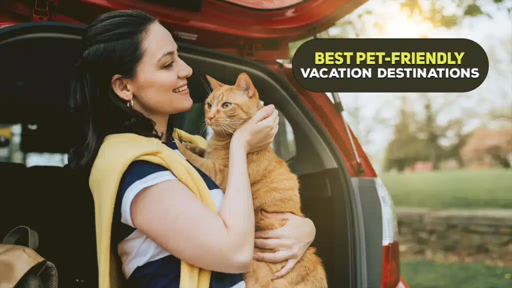 The 10 Best Pet-Friendly Vacation Destinations: Travel with Your Furry Friend