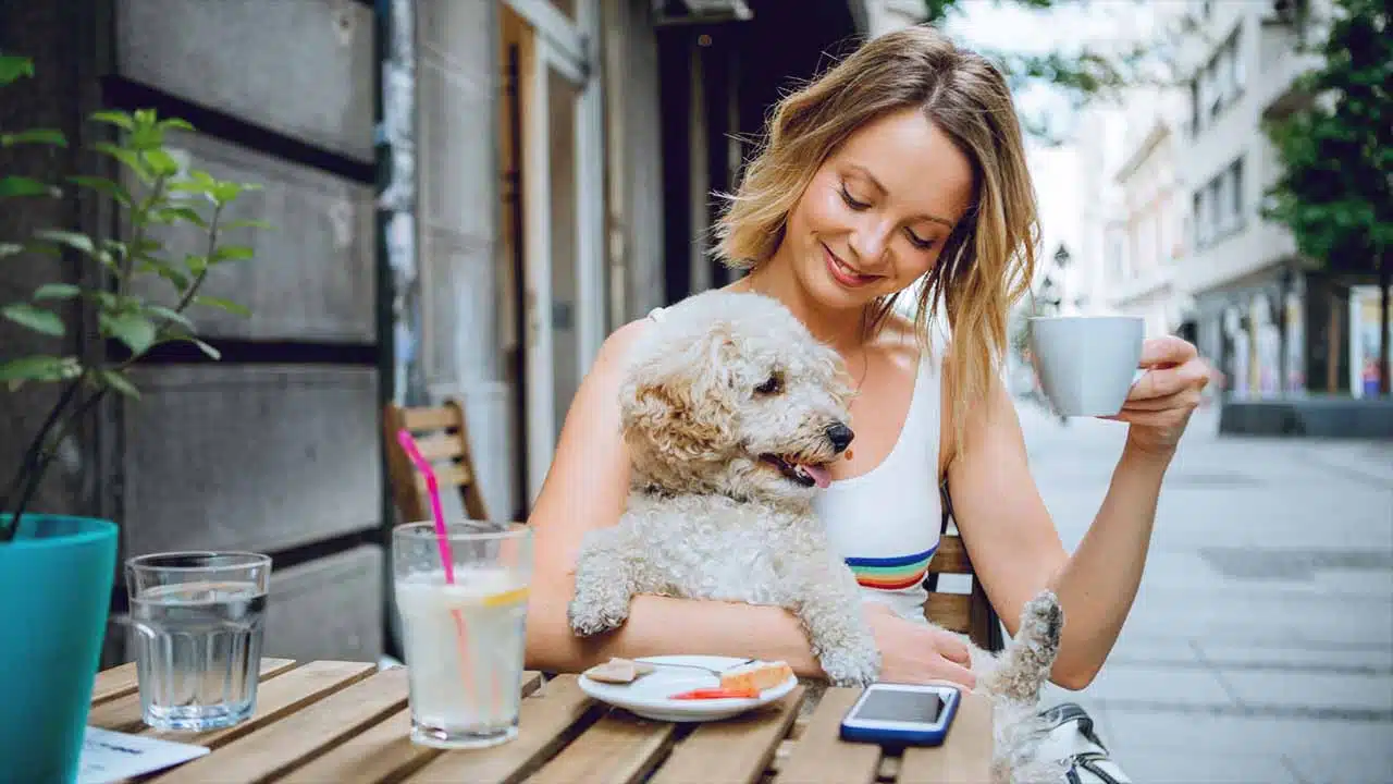 The 10 Best Pet-Friendly Vacation Destinations: Travel with Your Furry Friend-inner 2