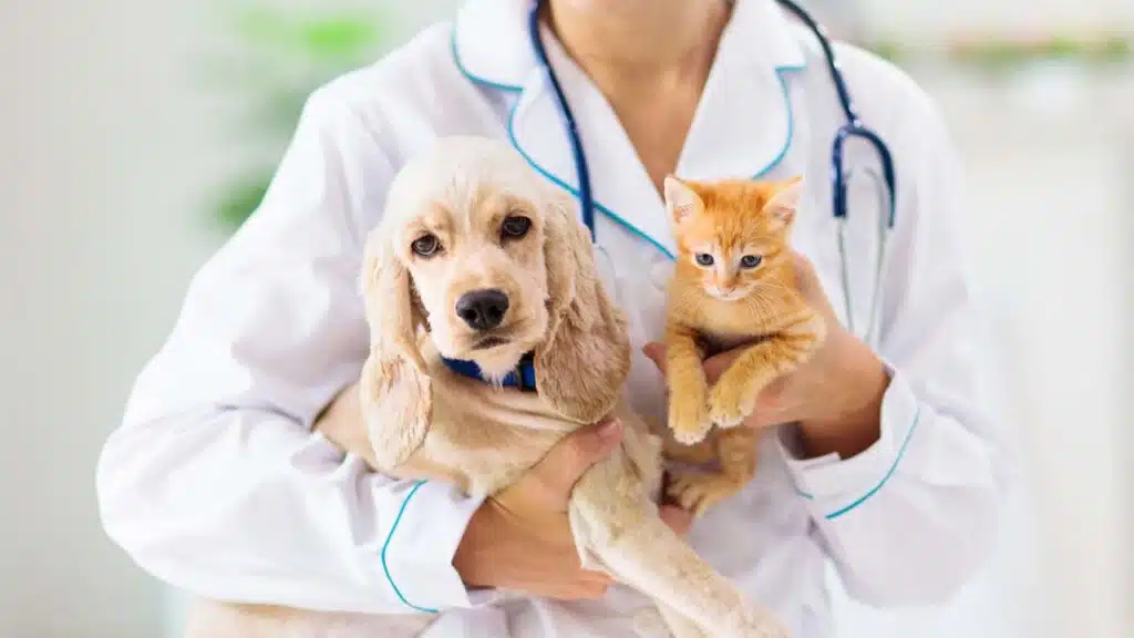 Vet holding a puppy and a kitten.