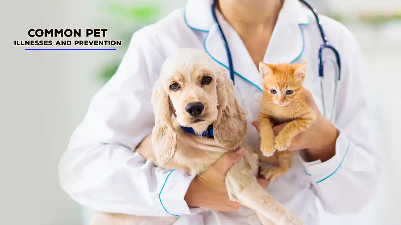 Common Pet Illnesses and Prevention