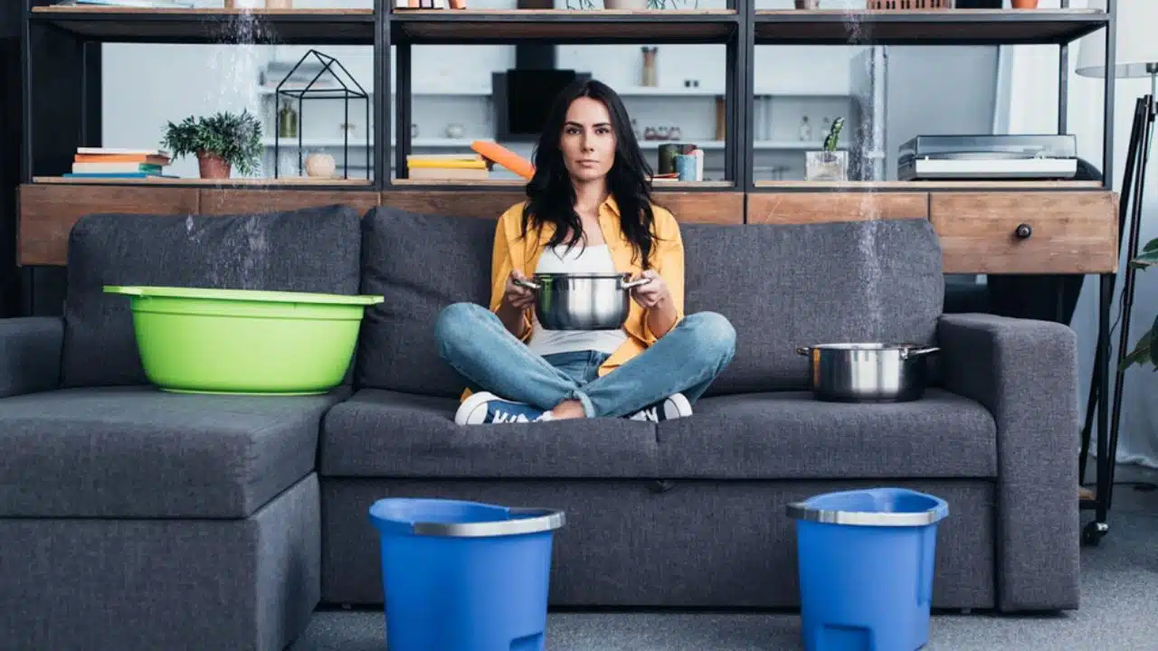 Consequences of Neglecting Roof Leaks