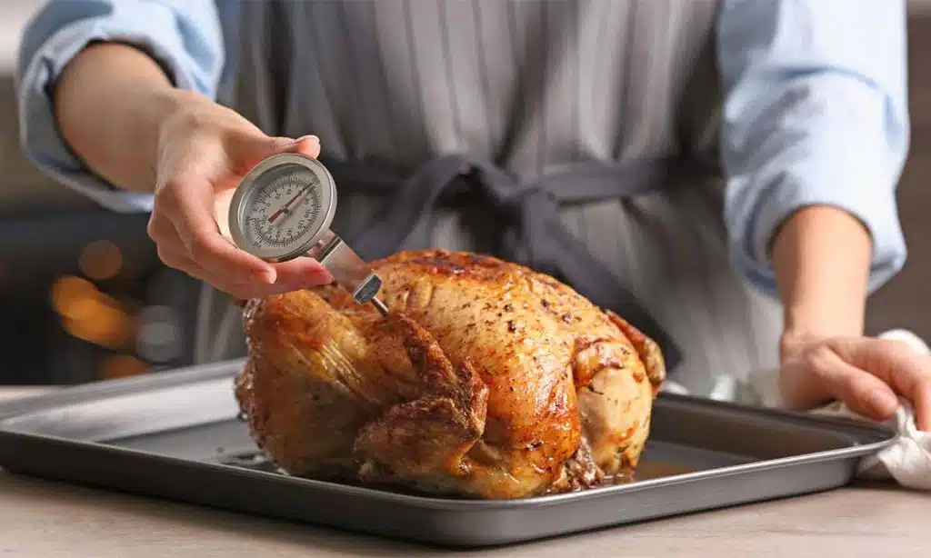 Digital Meat Thermometer