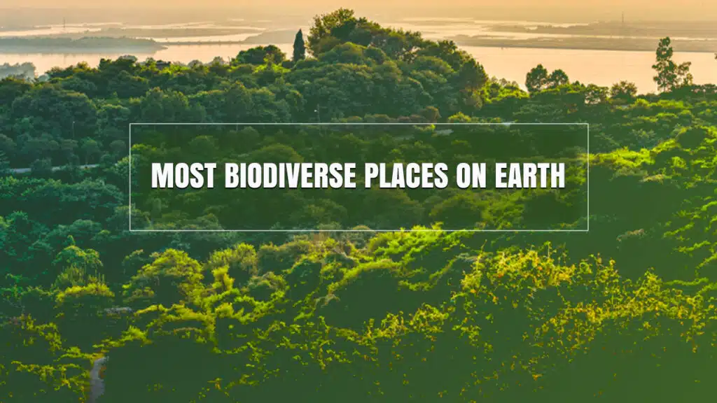 Discover the 10 Most Biodiverse Places on Earth