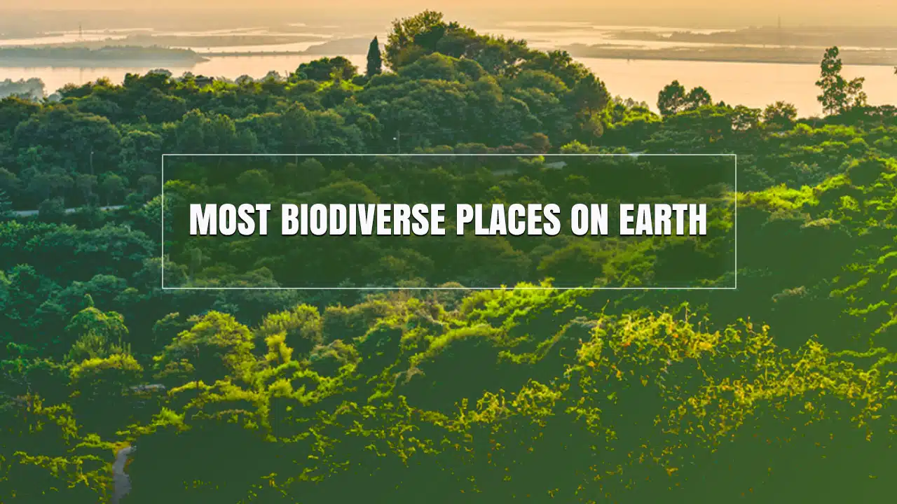 Discover the 10 Most Biodiverse Places on Earth