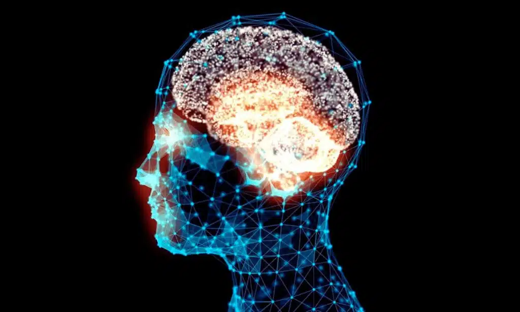 Enhanced brain function