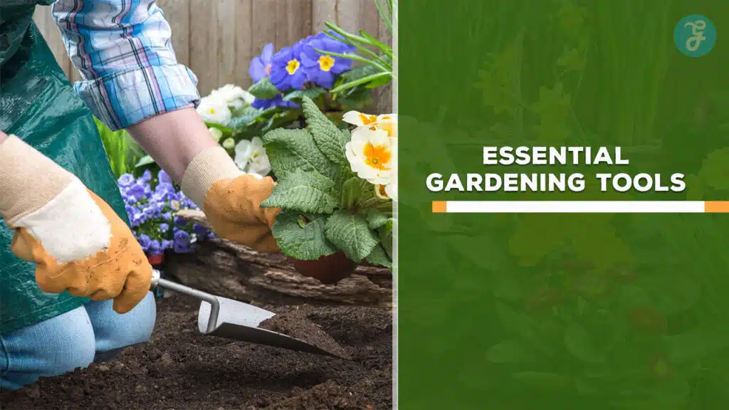 Essential Gardening Tools .
