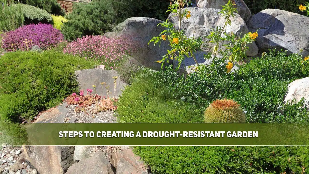 Essential Steps for Creating a Drought Resistant Garden