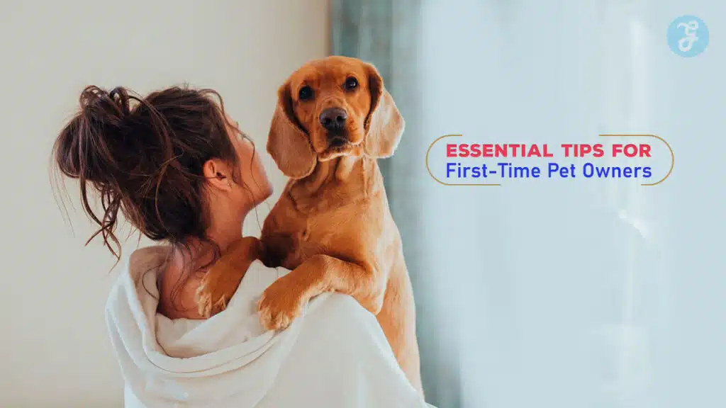 Essential Tips for First-Time Pet Owners