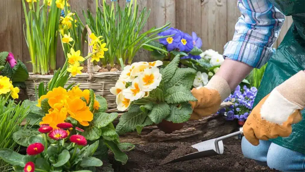 Person planting colorful flowers in a garden